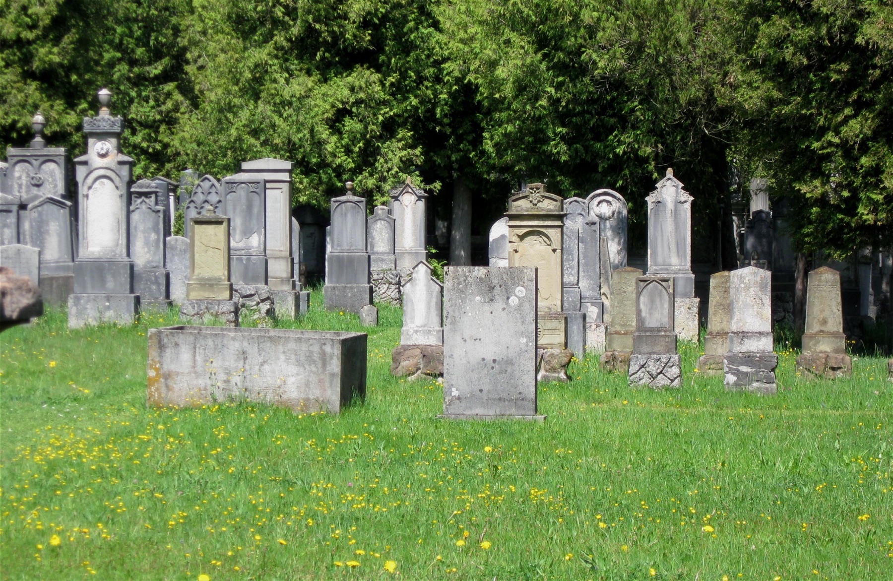 Historic burial field at Munich’s Old Jewish Cemetery