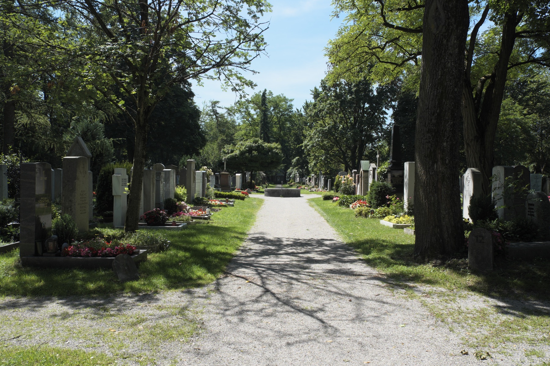 Straight central path between grave rows and mature trees at Nymphenburg Cemetery